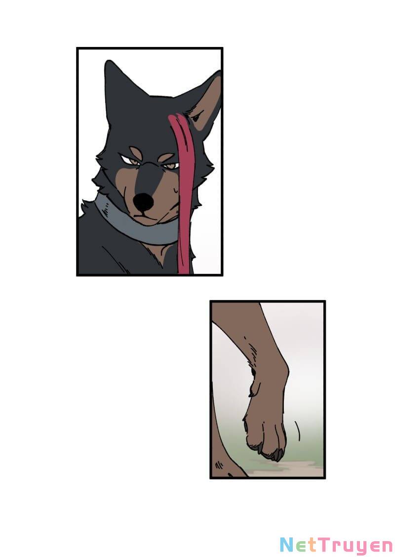 lumine - cội nguồn ánh sáng chapter 150 6