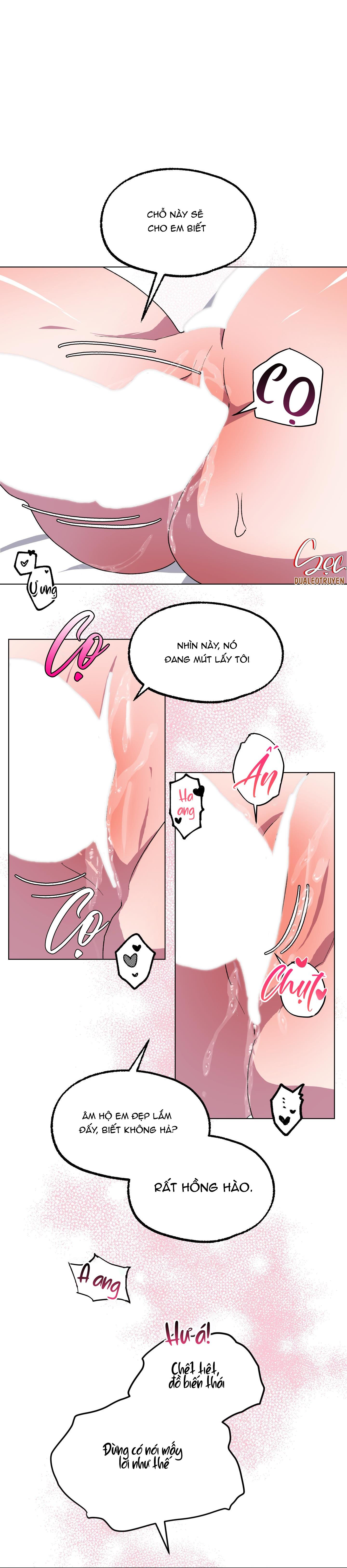 cá mập và cô dâu thỏ chapter 7 31