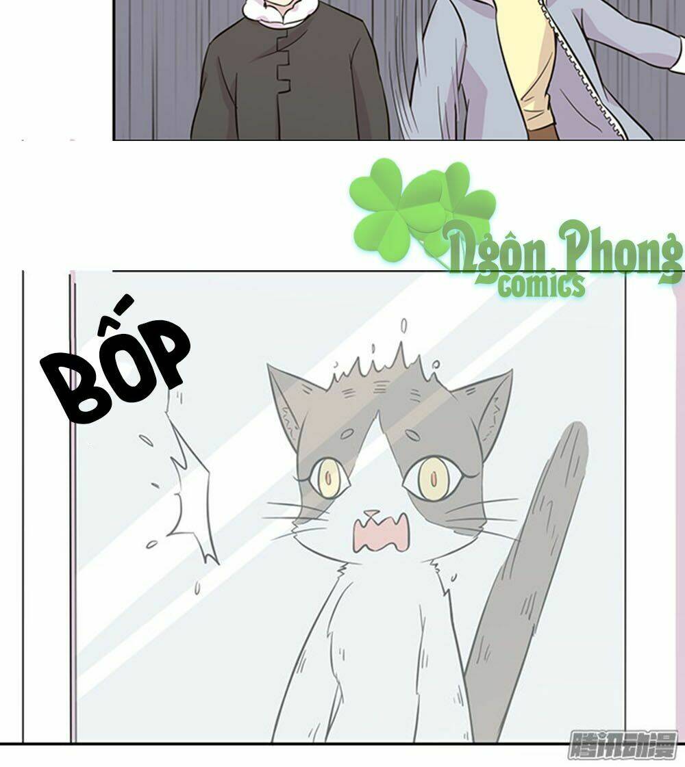 hai chú mèo totem chapter 22 11