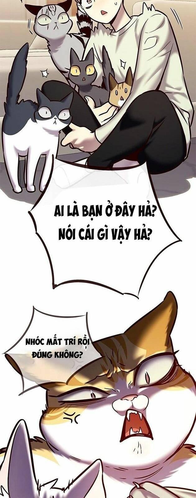biến thân thành mèo chapter 225 45