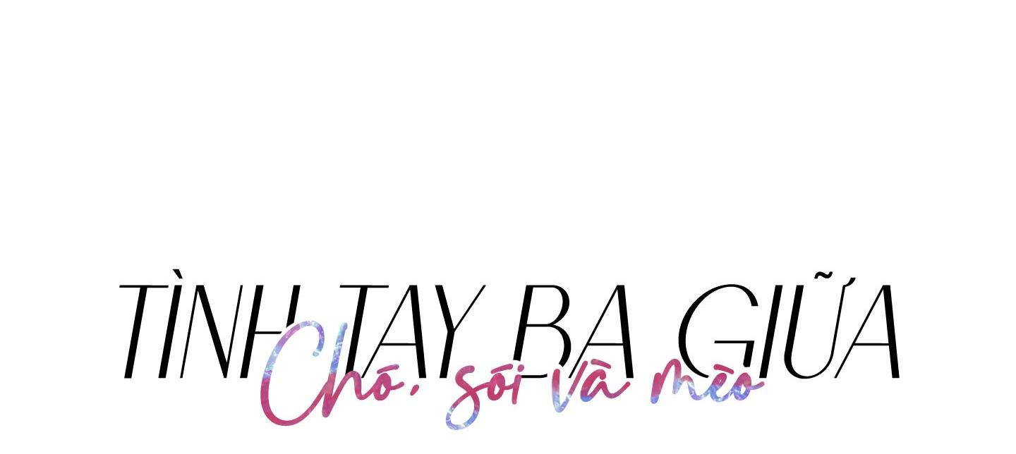 tình tay ba giữa chó, sói và mèo chapter 14 49