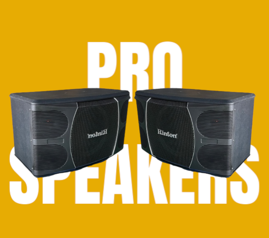 Loa Karaoke gia đình Rinton RT-866 Bass 25 cm, 3 đường tiếng(Hàng Chính Hãng)