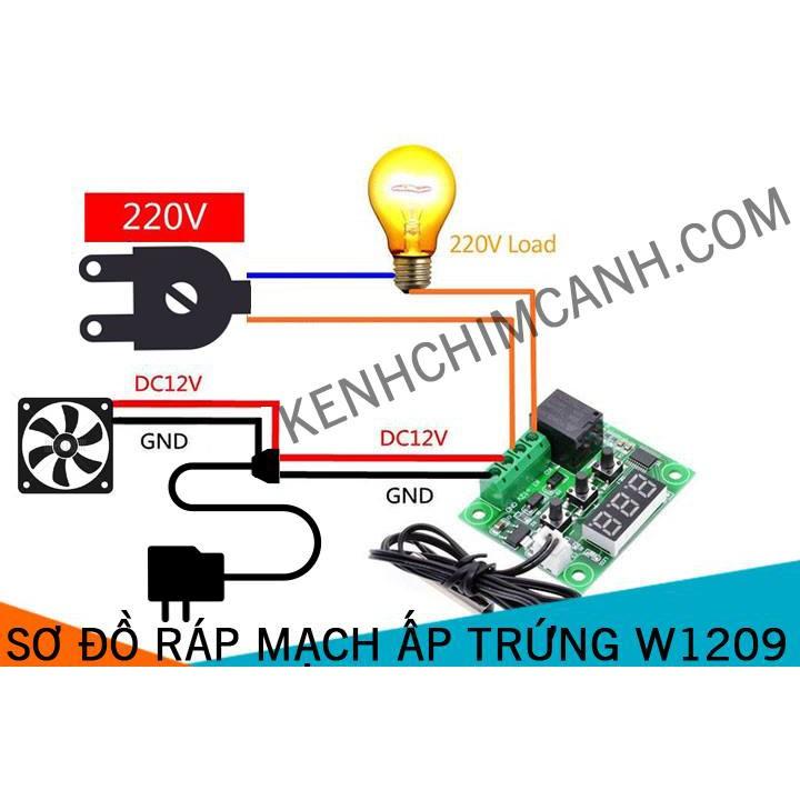 Bộ ấp trứng tự động