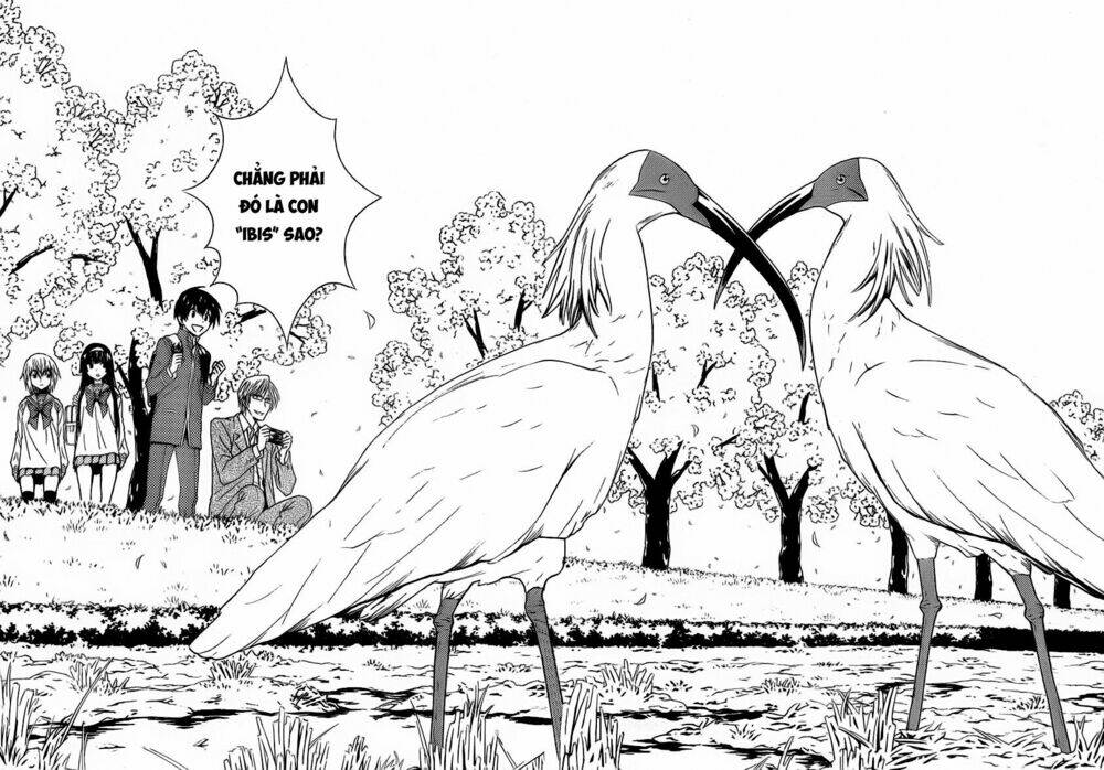 sakura morishige chapter 5 7