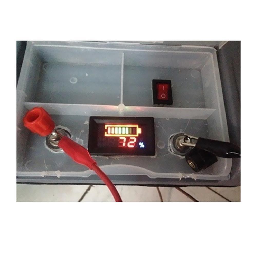 Acid Lead Lithium Battery Indicator Capacity Digital LED Tester Voltmeter