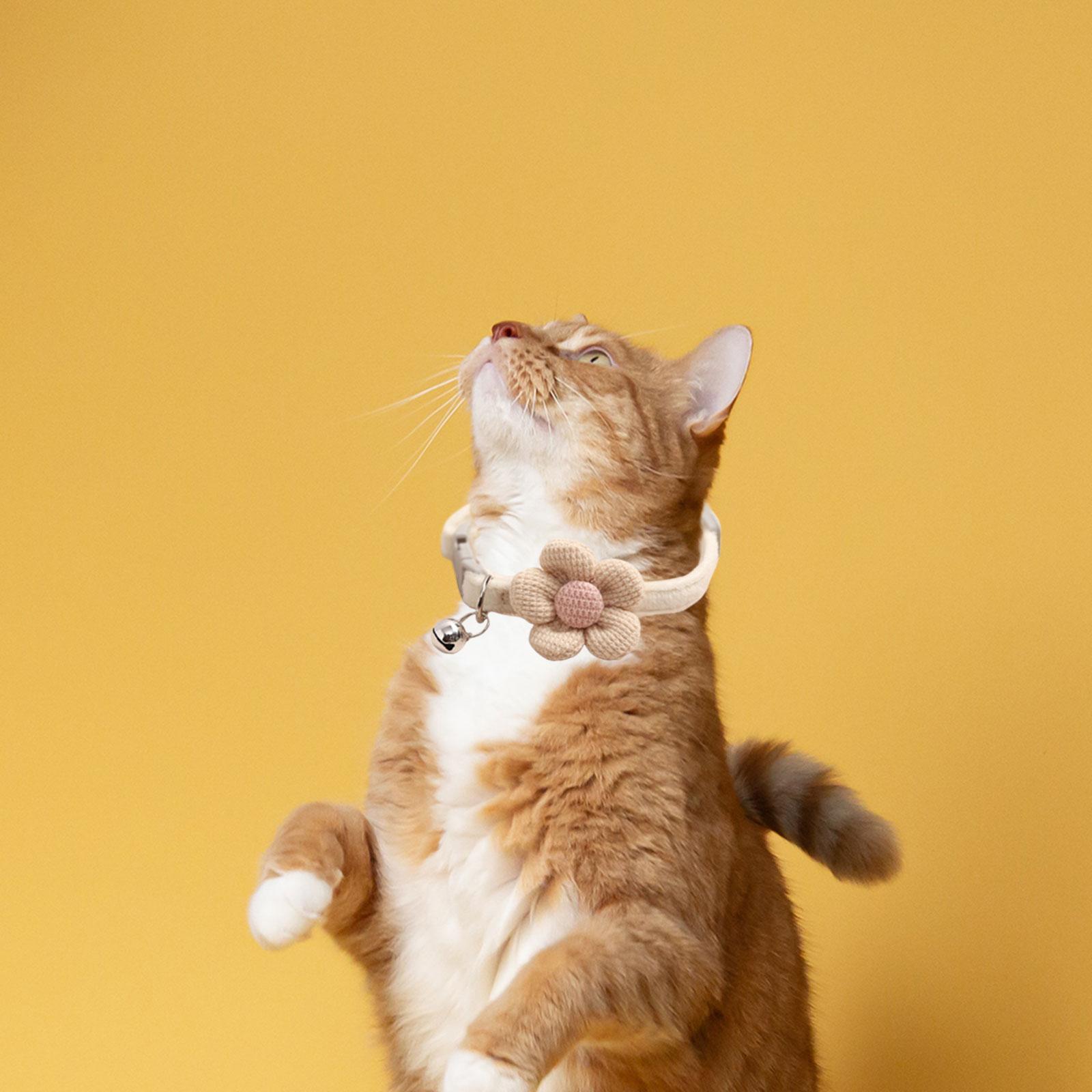 Cat Collar Necklace with Bell Collars for Kitty Rabbit Small Medium Dogs