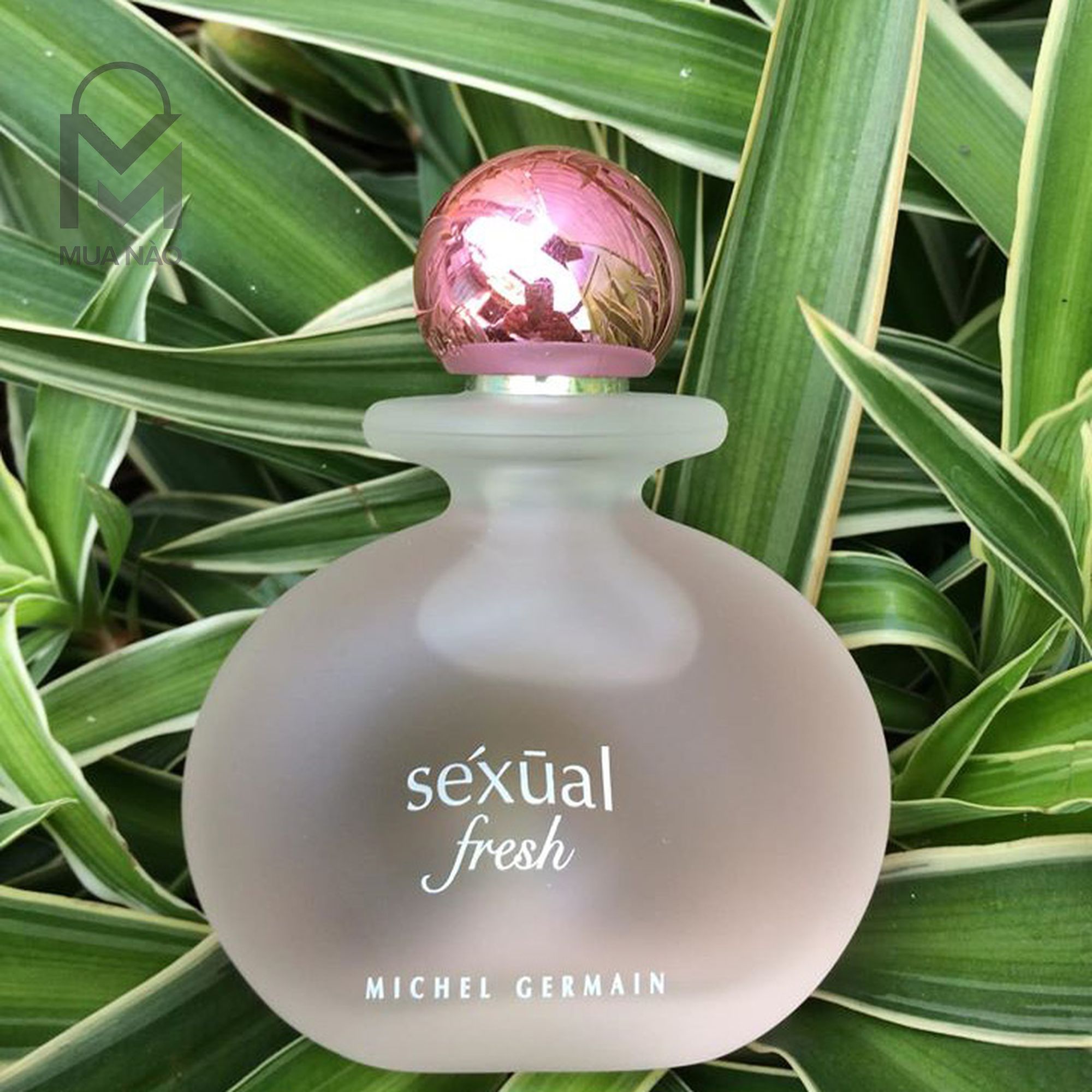 Nước hoa Pháp Sexual Fresh 125ml - Nước hoa Nữ quyến rũ hãng Michel Germain