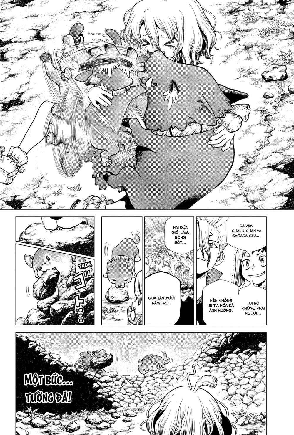 dr.stone - hồi sinh thế giới chapter 212 14