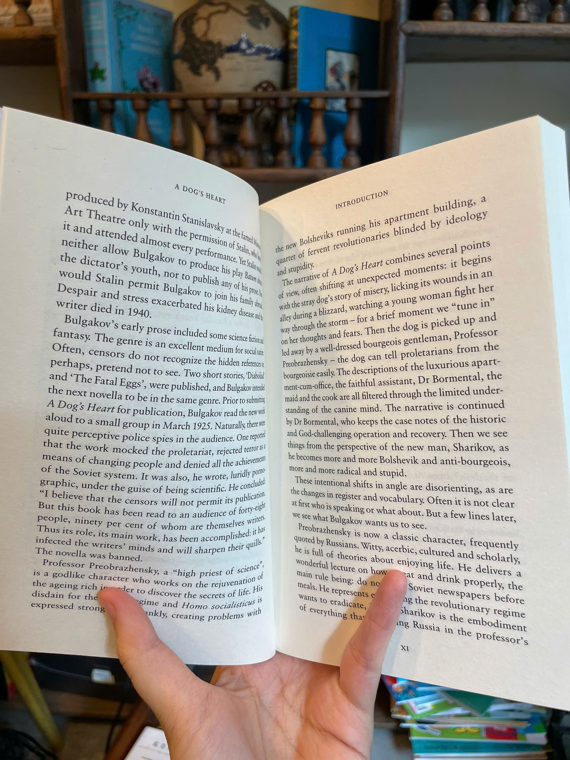 Sách - A Dog's Heart by Mikhail Bulgakov | Classic Fiction / Ngoại văn Nhập khẩu