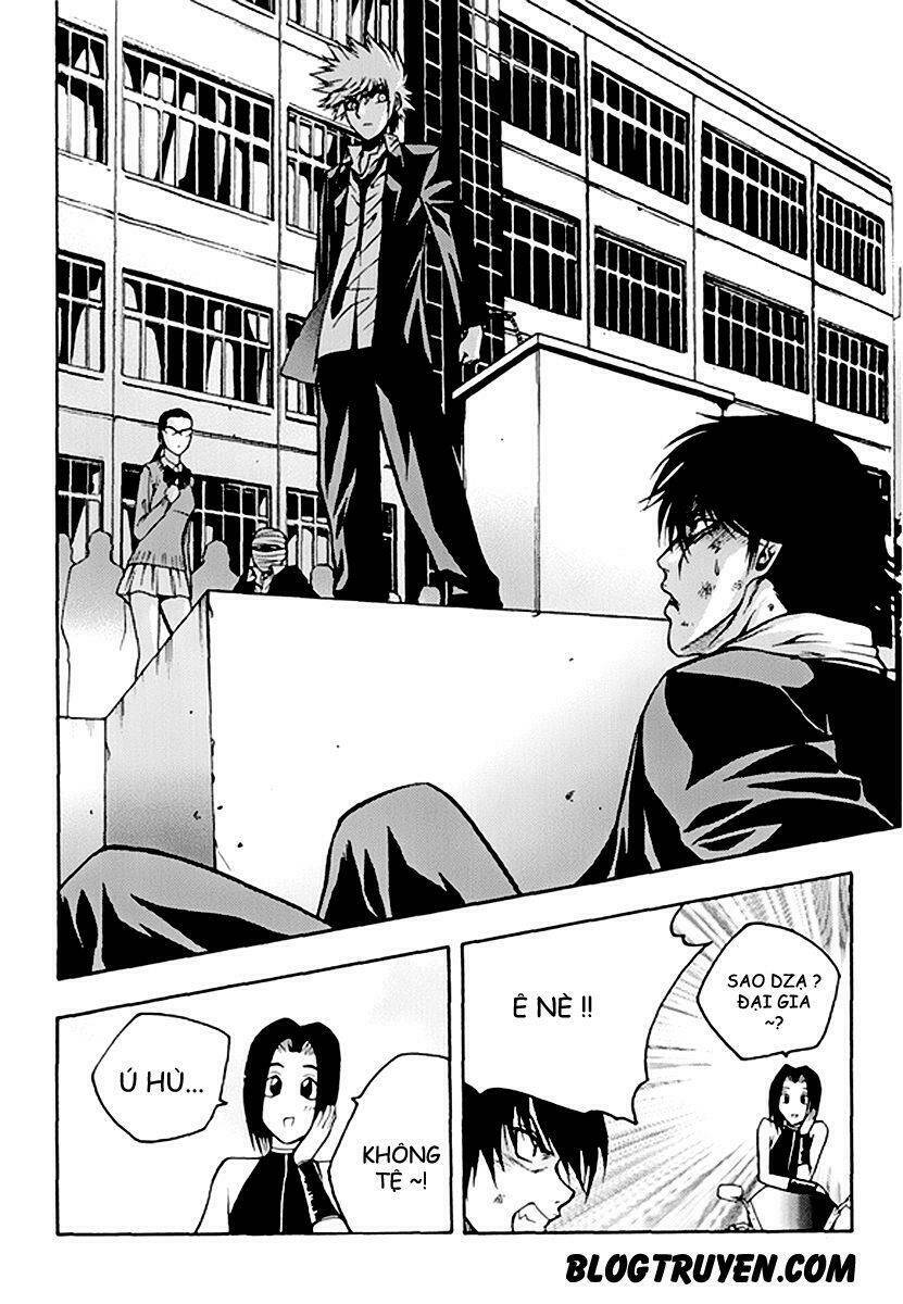 zippy ziggy chapter 51 15