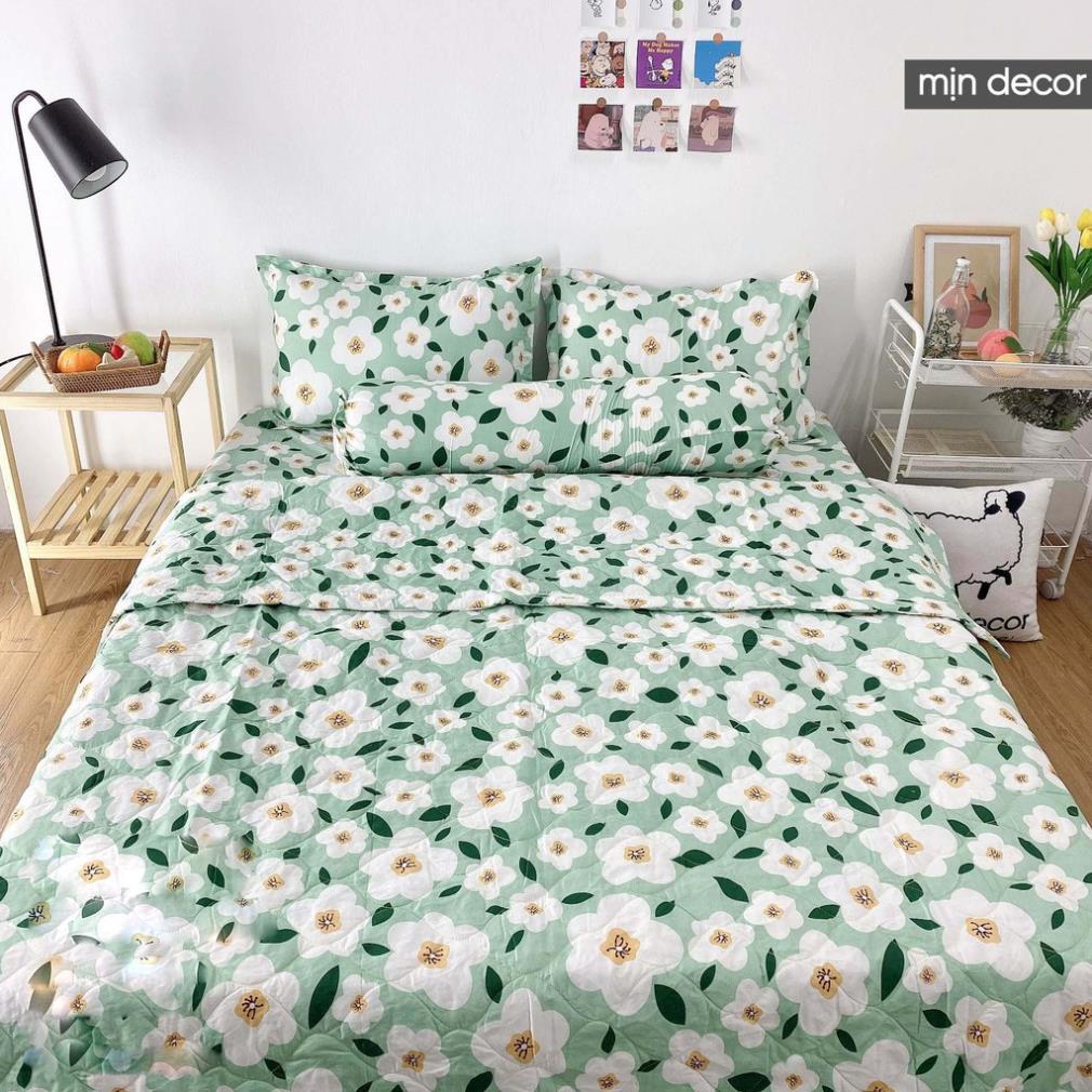 Bộ chăn ga gối cotton 3D kèm chăn trần bông hè mềm mịn bo chun miễn phí