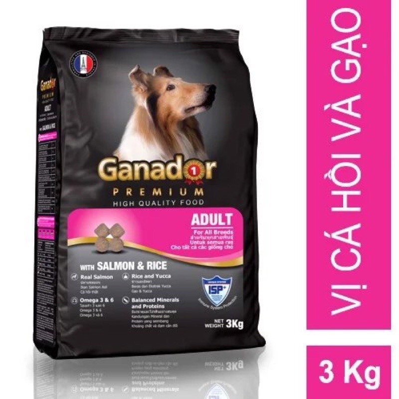 Thức ăn dành cho chó lớn Ganador vị Cá Hồi và Gạo Gói 3kg