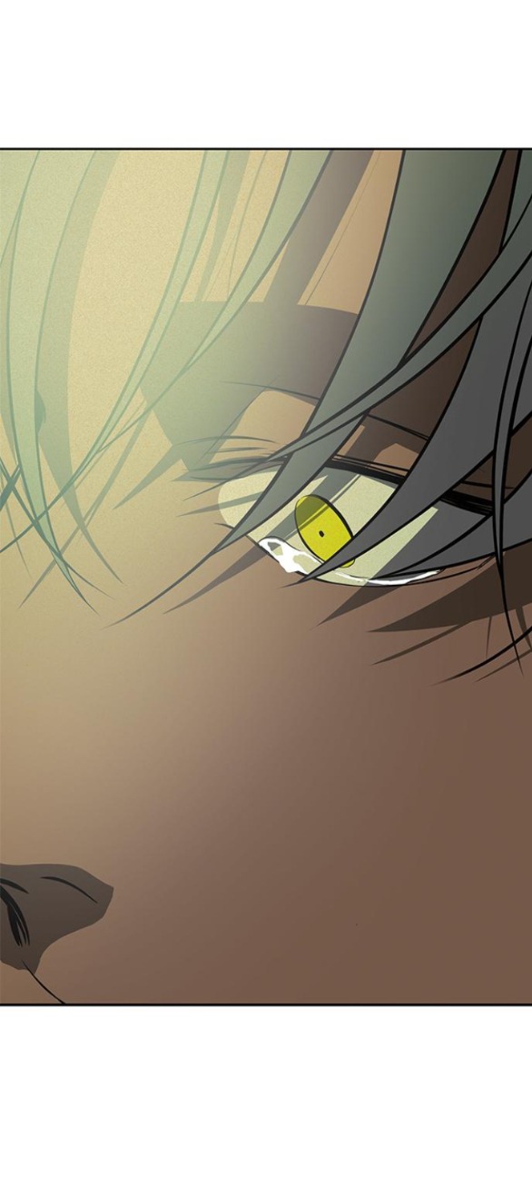 Cạm Bẫy chapter 197.2 17