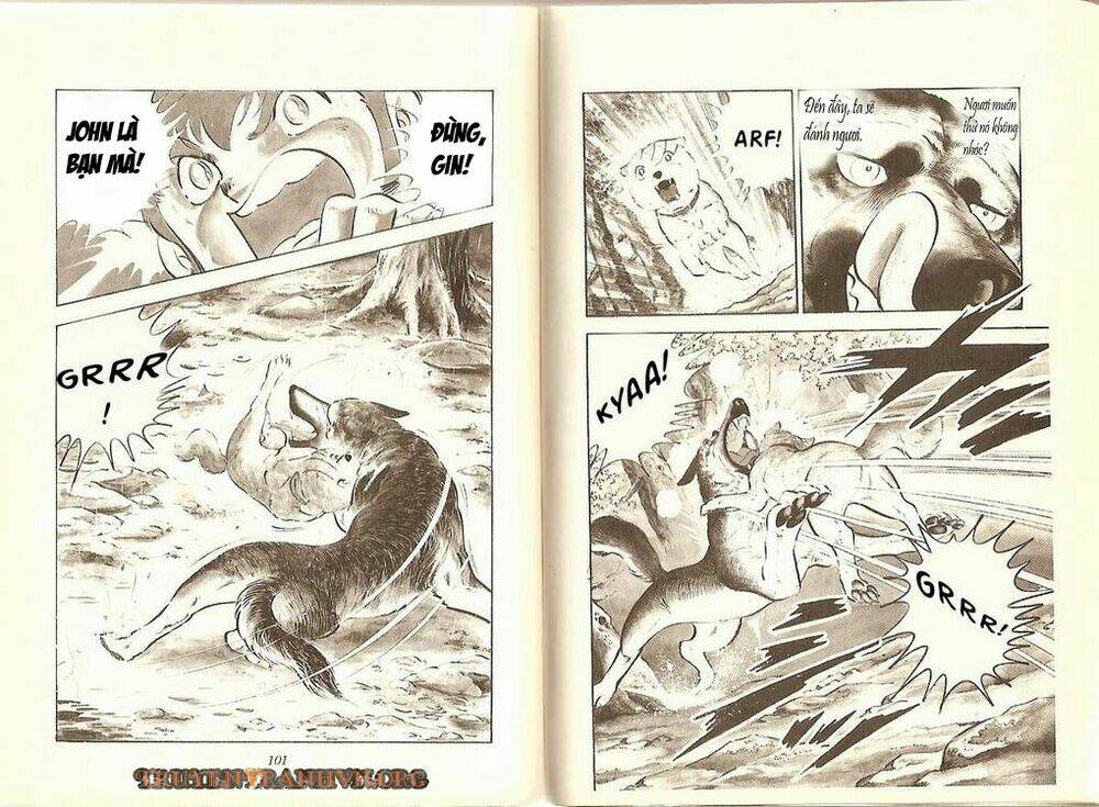 chú chó có nghĩa - ginga nagareboshi gin chapter 8 21