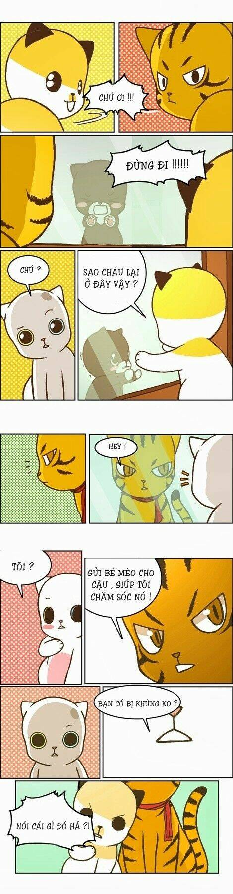 papi nyang chapter 12 11