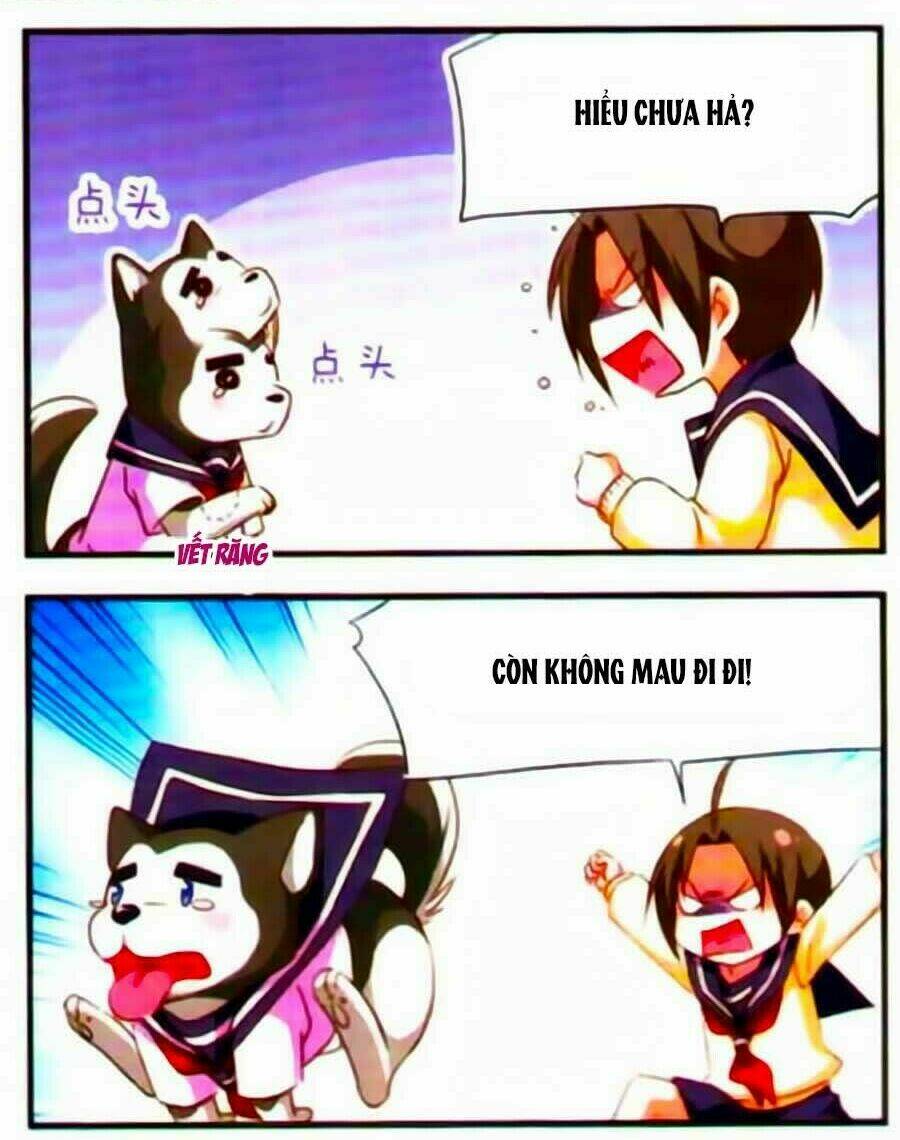 manh tam quốc chapter 89 17