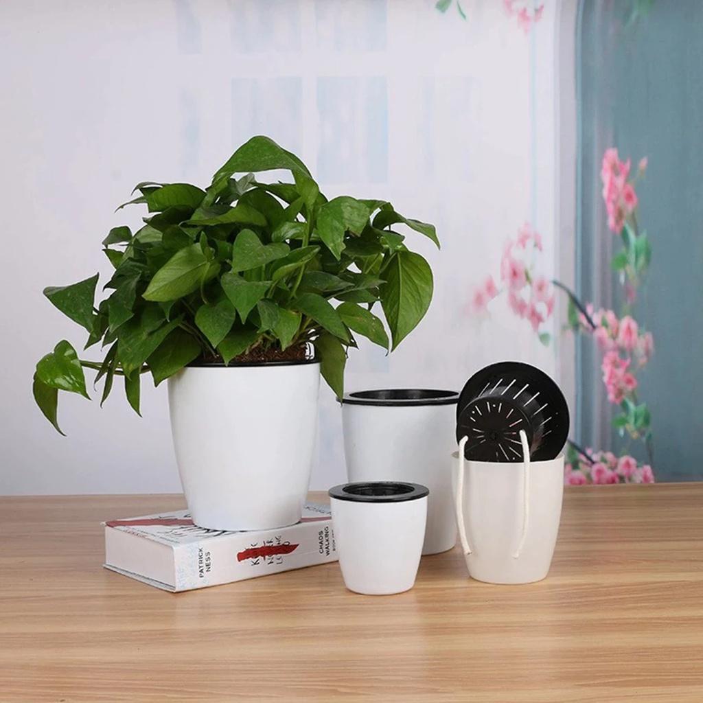 Chậu trồng cây tự tưới Oliz H0