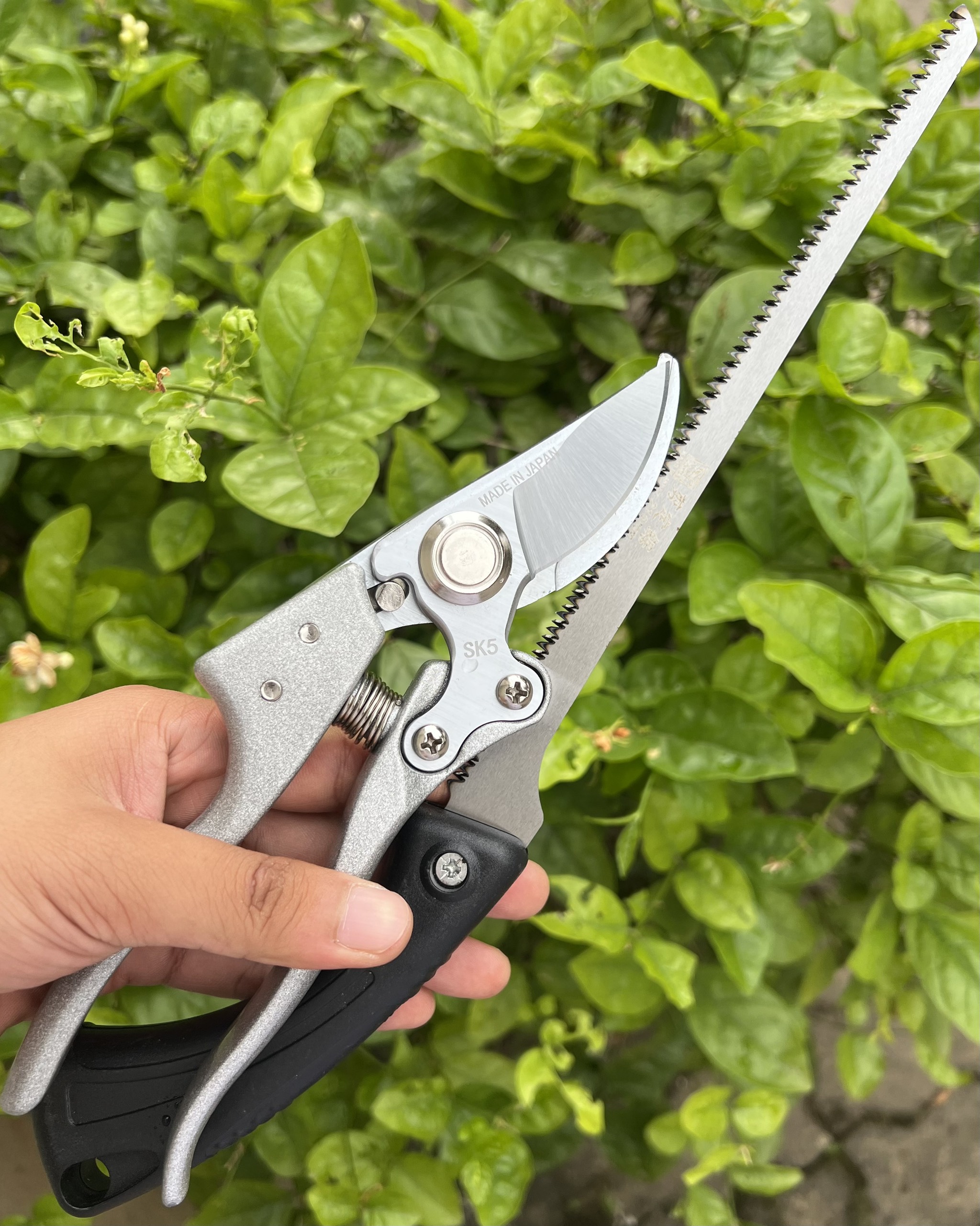 Combo Kéo Cắt Cành SK5 Nhật Bản + Cưa Lách Lưỡi Bén ,Dụng Cụ Bonsai, Đồ Dùng Làm Vườn