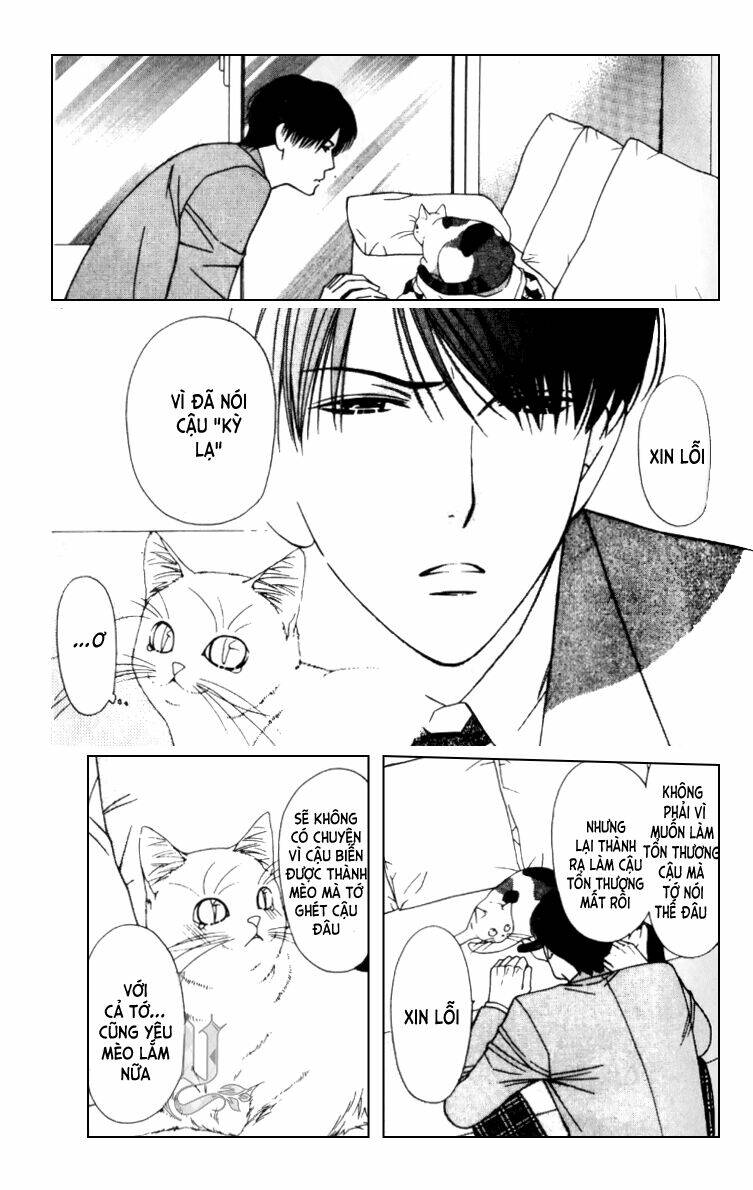 neko neko honey chapter 5 12