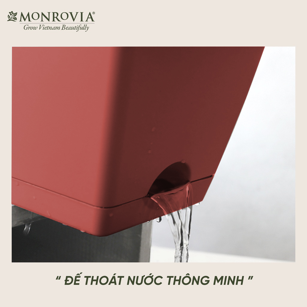 Combo chậu nhựa trồng cây chữ nhật kèm giỏ treo hoa ban công Monrovia, chậu trồng rau, khay trồng rau, trồng hoa