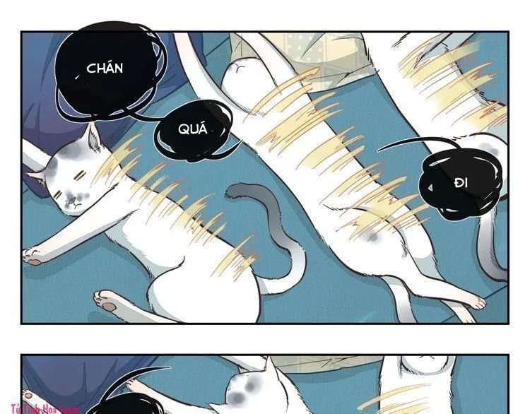 thời khắc ấy, chúng ta gặp nhau chapter 17 4