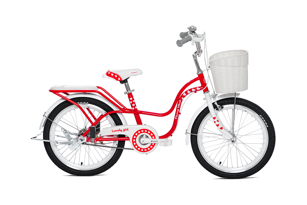 Xe đạp trẻ em Thống Nhất Neo 20-04