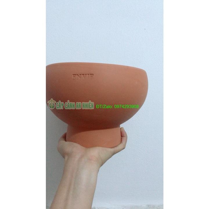 Chậu Đất Nung Trồng Cây