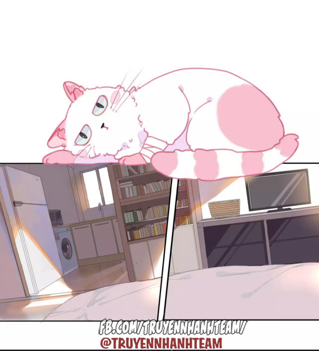 xã hội mèo chapter 1 9