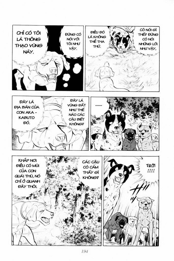 chú chó có nghĩa - ginga nagareboshi gin chapter 29.1 8
