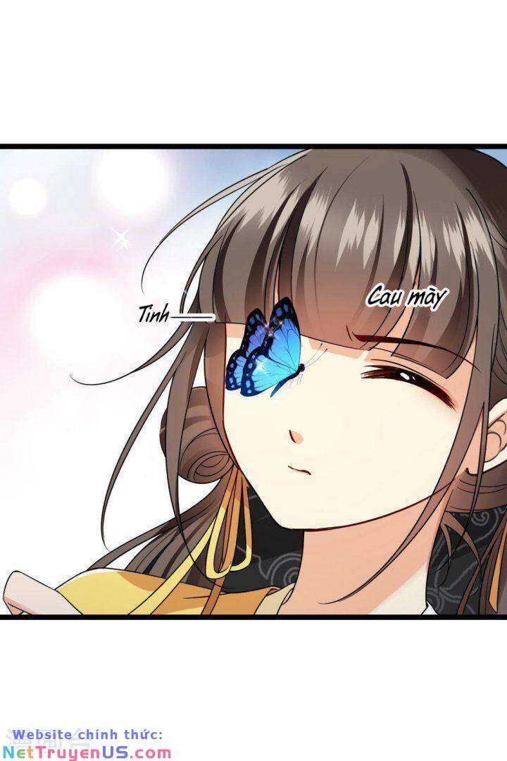 nụ cười của nàng liền ngọt đảo ta tám viên nha chapter 66 24