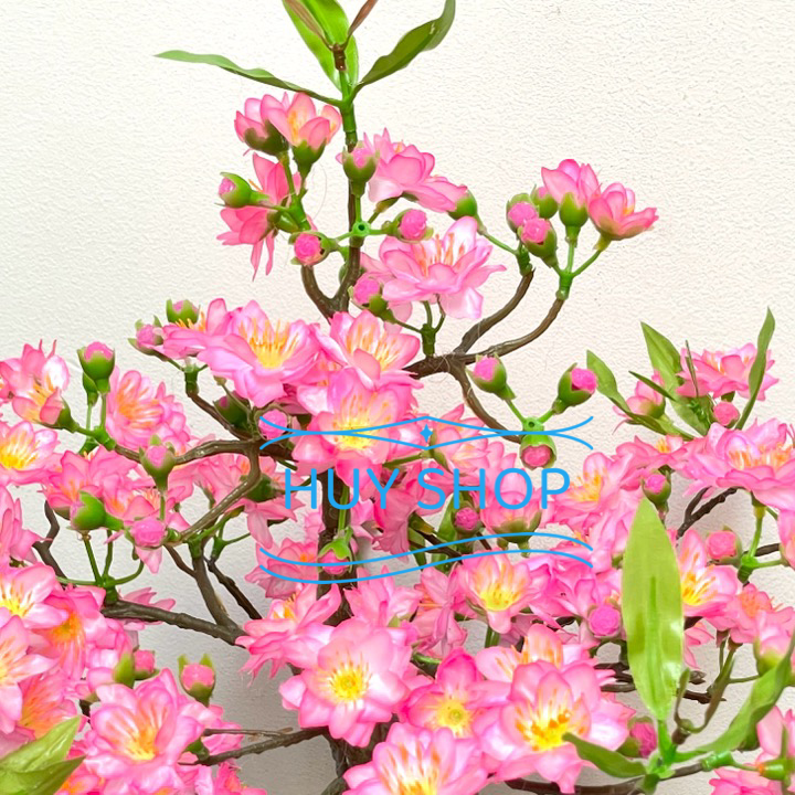 Hoa trang trí Ngày Tết - Chậu HOA ĐÀO  để bàn trang trí nhà cửa