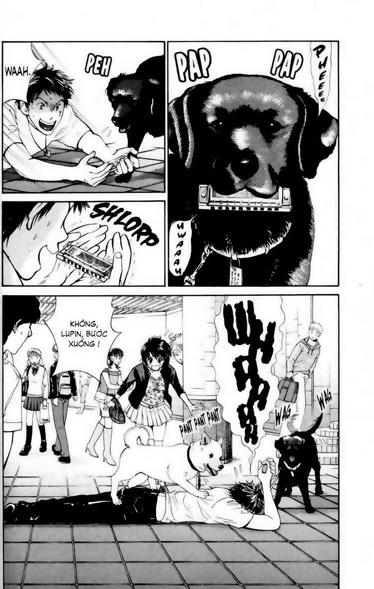 cô nàng yêu chó chapter 17 12