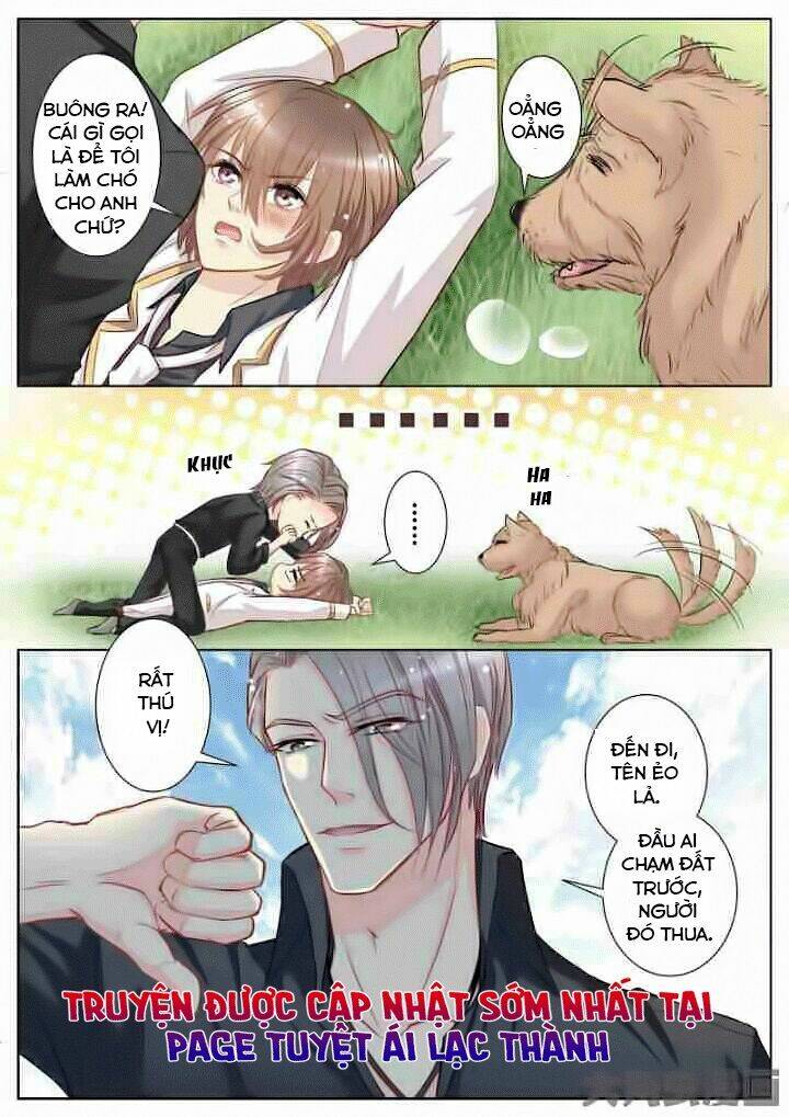 the stars are not luminous body chapter 28 1