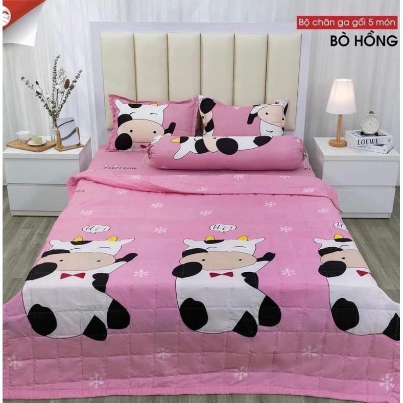 Chăn ga gối - Bộ drap 5 món cotton poly nhiều mẫu đủ size