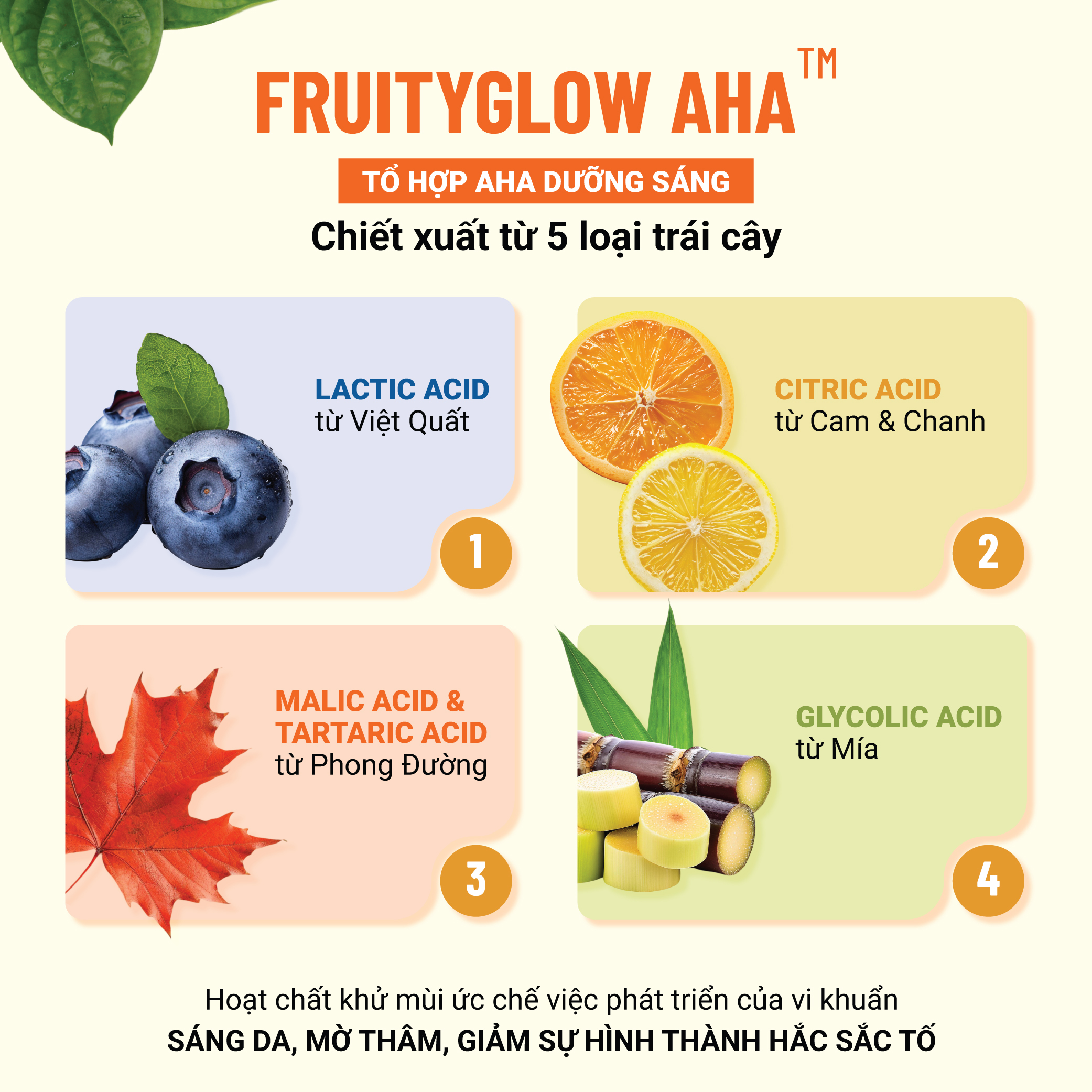 Serum Khử Mùi Thảo Dược Thuần Chay Lá Trầu Cam Thảo Heebee’s Lăn Khử Mùi, Dưỡng Sáng, Mờ Thâm, Ngăn Mùi 12H 30ml