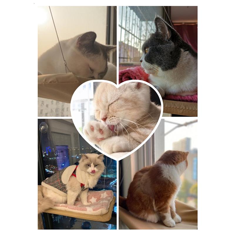 Mèo Treo Giường Thú Cưng Võng Giường Cho Mèo Thoải Mái Cát Cửa Sổ Võng Với Chăn Mền Kitty Nắng Cửa Sổ Ghế Núi Chịu Lực 20Kg