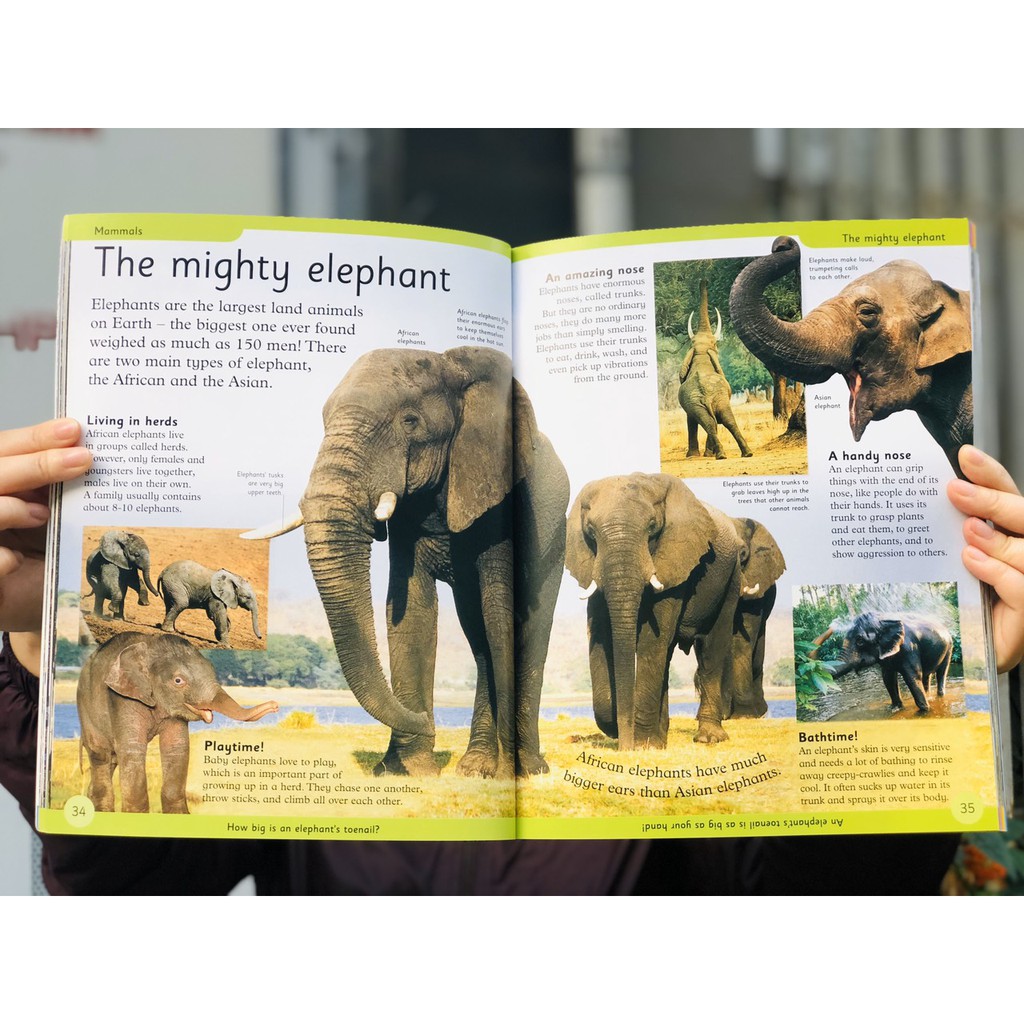 Sách Bách khoa toàn thư - First Animal Encyclopedia - Tổng Hợp Kiến Thức Về Thế Giới Động Vật, Những Điều Mà Trẻ Em Luôn Muốn Biết - Á Châu Books, Bìa Cứng, In Màu
