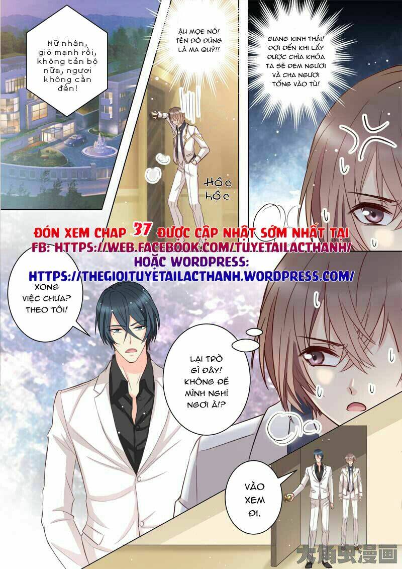 the stars are not luminous body chapter 36 8