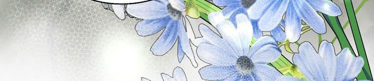 xin hãy kết hôn với em chapter 37 226