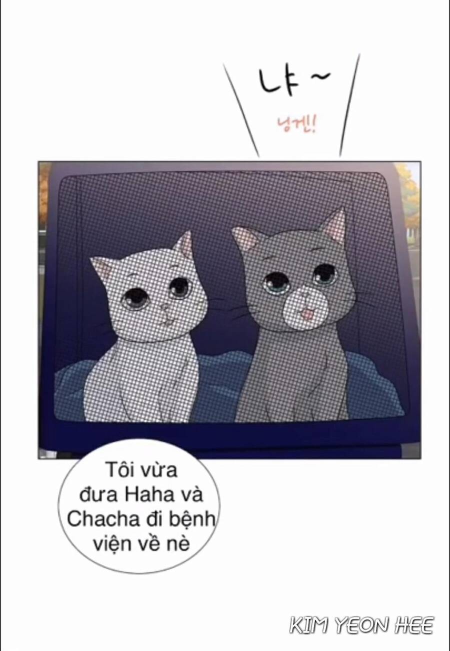 idol và sếp, em yêu ai? chapter 128 19