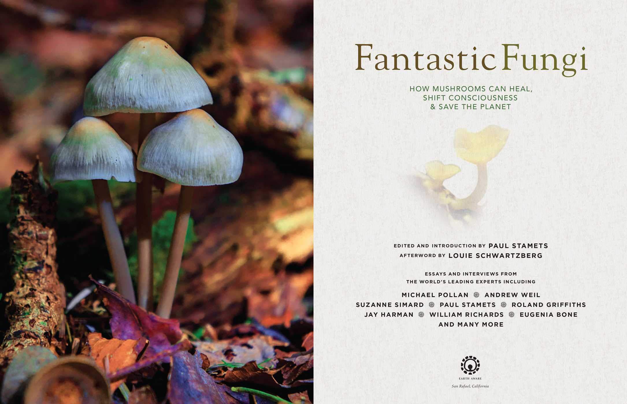 Fantastic Fungi: How Mushrooms Can Heal, Shift Consciousness, And Save The Planet