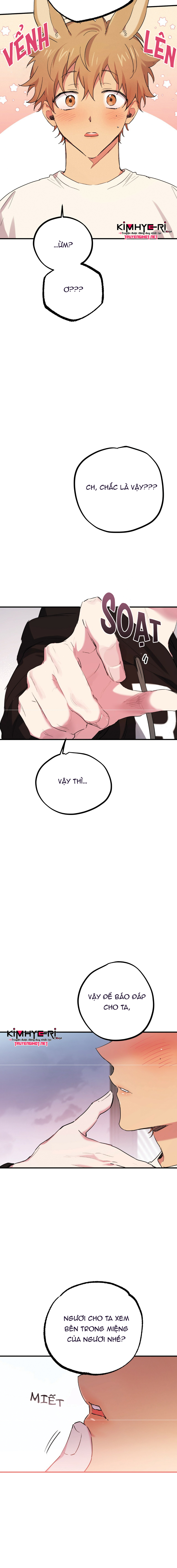 những chú thỏ của hapypy chapter 9 19