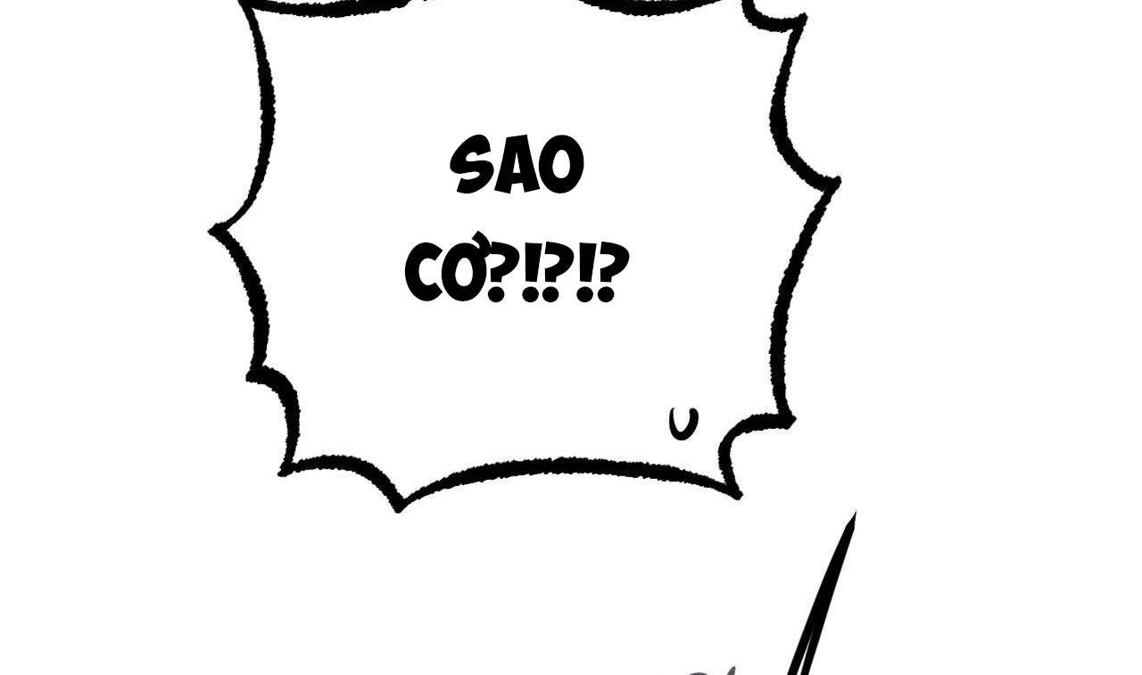 những chú thỏ của hapypy chapter 51 242