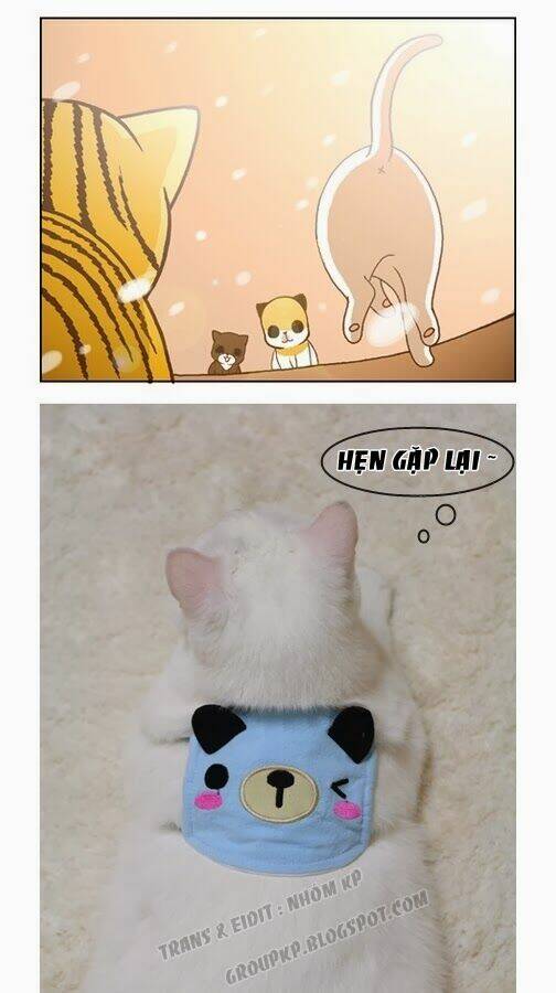 papi nyang chapter 17 18