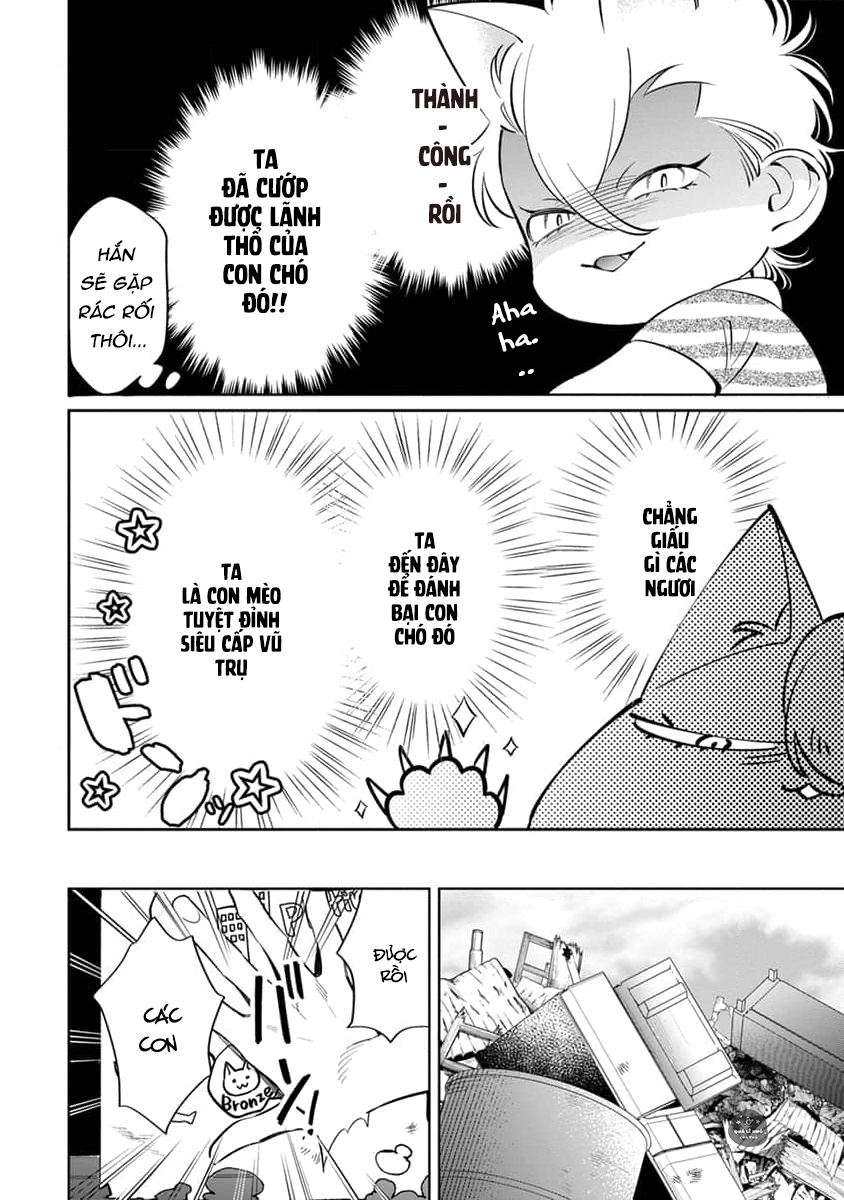 mềm mại xinh đẹp đều là em chapter 1 13