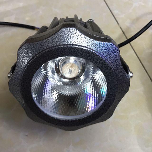 Rọi cây 10w