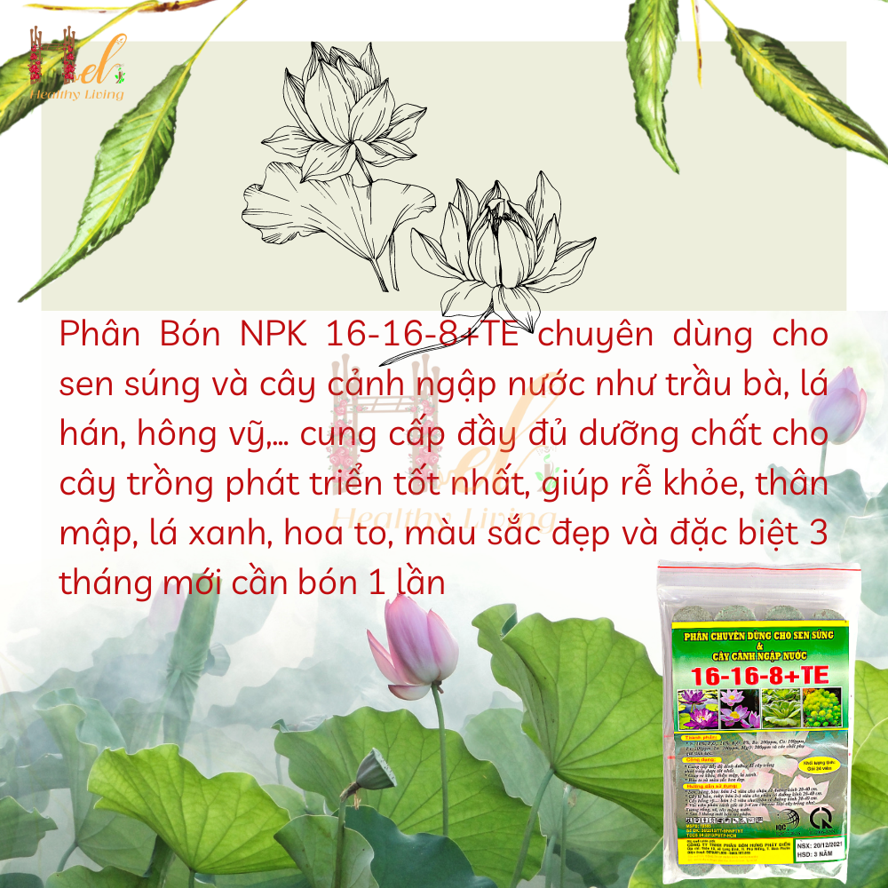 Phân Bón Hoa Sen Hoa Súng Và Cây Ngập Nước NPK 16-16-8+TE Gói 24 Viên