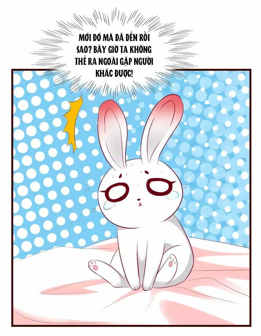 thỏ yêu tiểu vương phi chapter 31 24