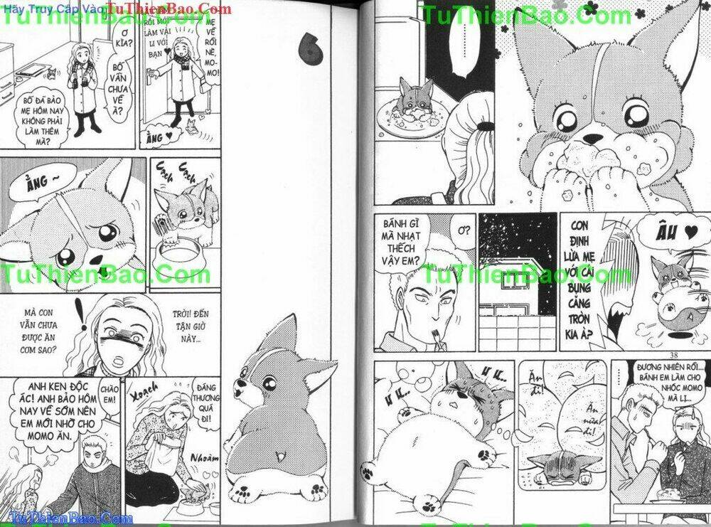 chó con mo mo chapter 4 20