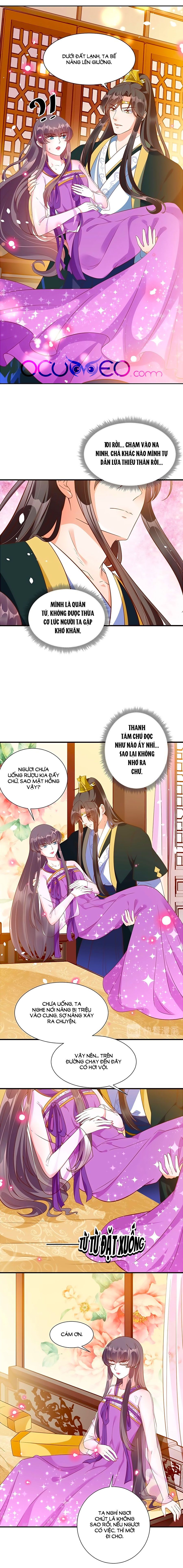 thịnh thế lê hoa điện chapter 75 3